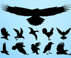 Birds Silhouettes Graphics