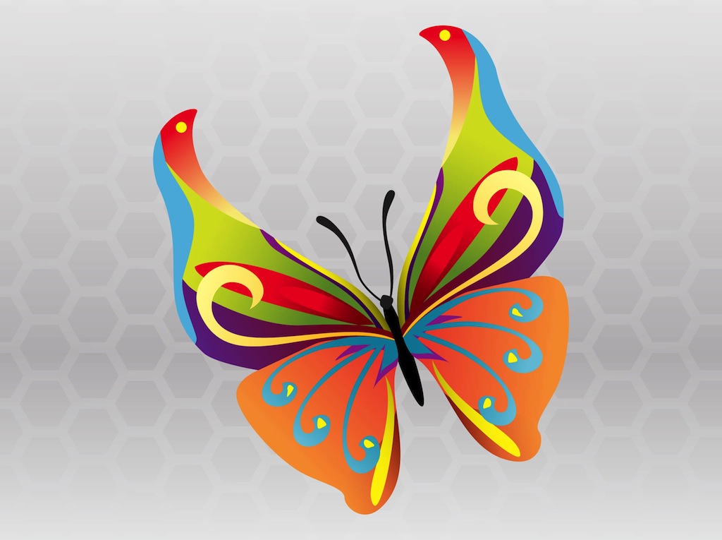 Spring Butterfly Vector