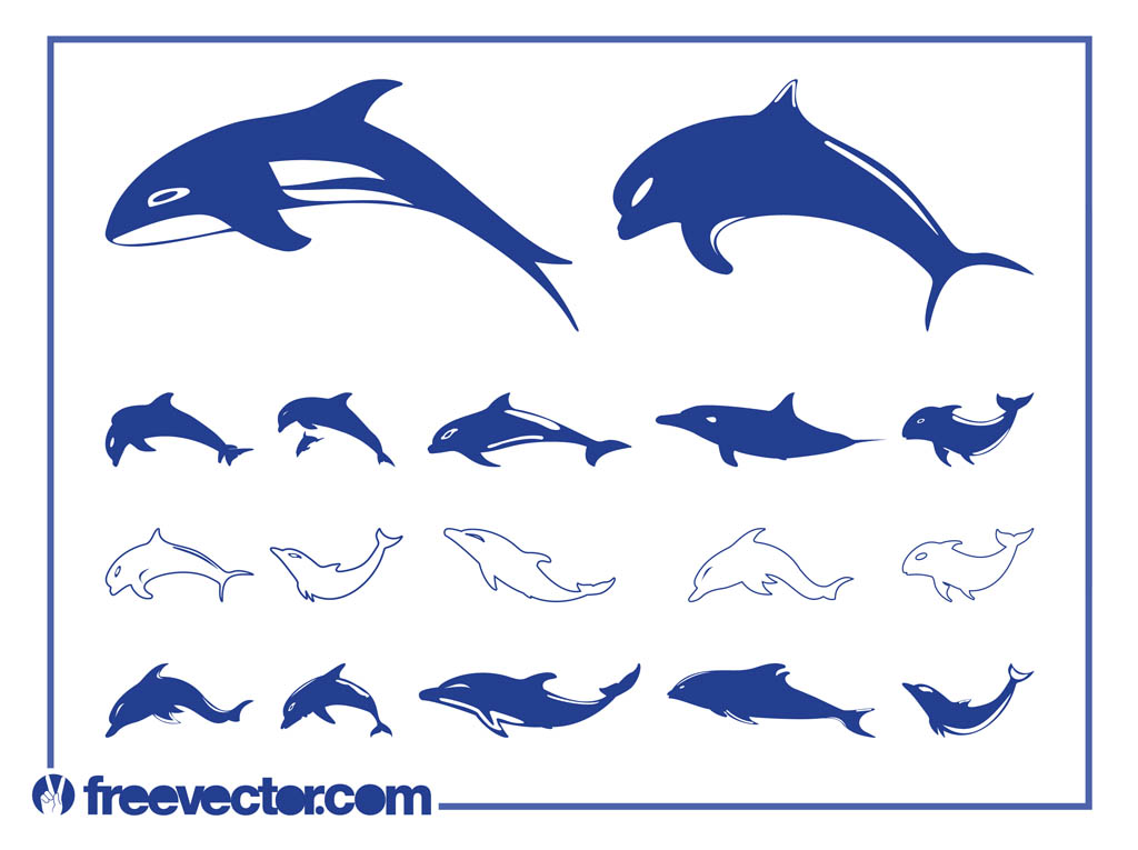 Dolphins Vector Graphics