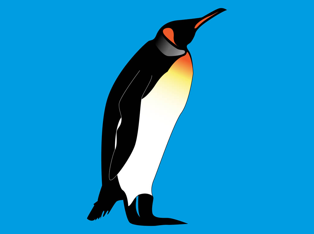 Emperor Penguin