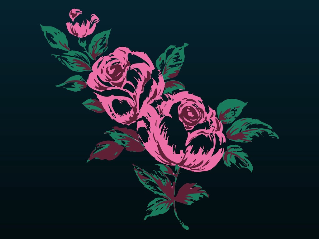 Roses Illustration