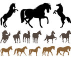Horses Silhouette Set