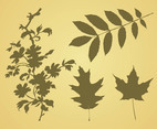 Leaves Vector Graphics