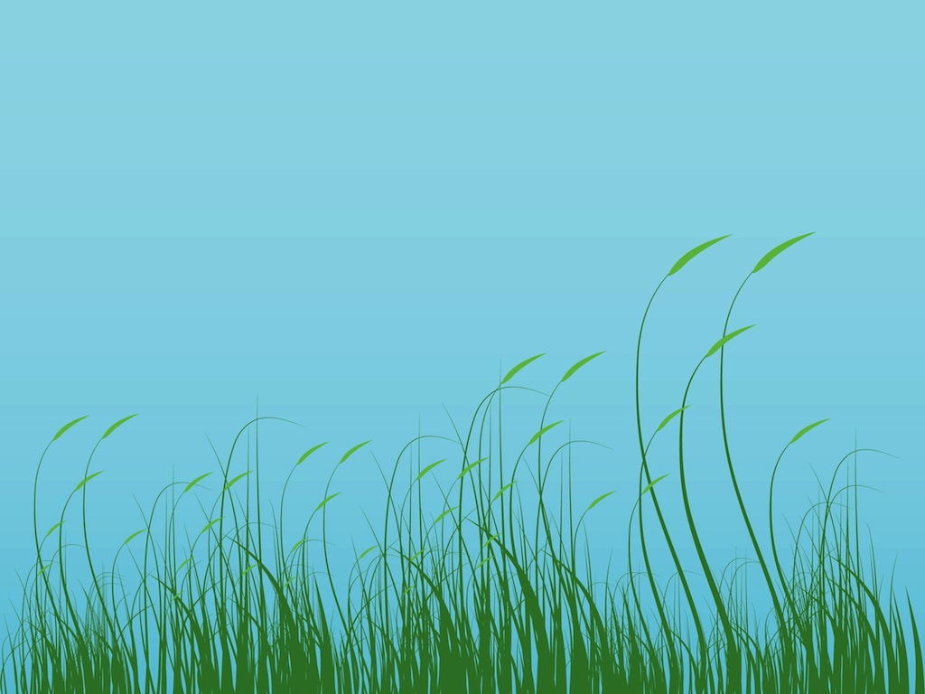 Grass Graphics