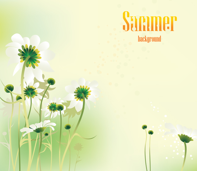 Summer Daisy Vector Background