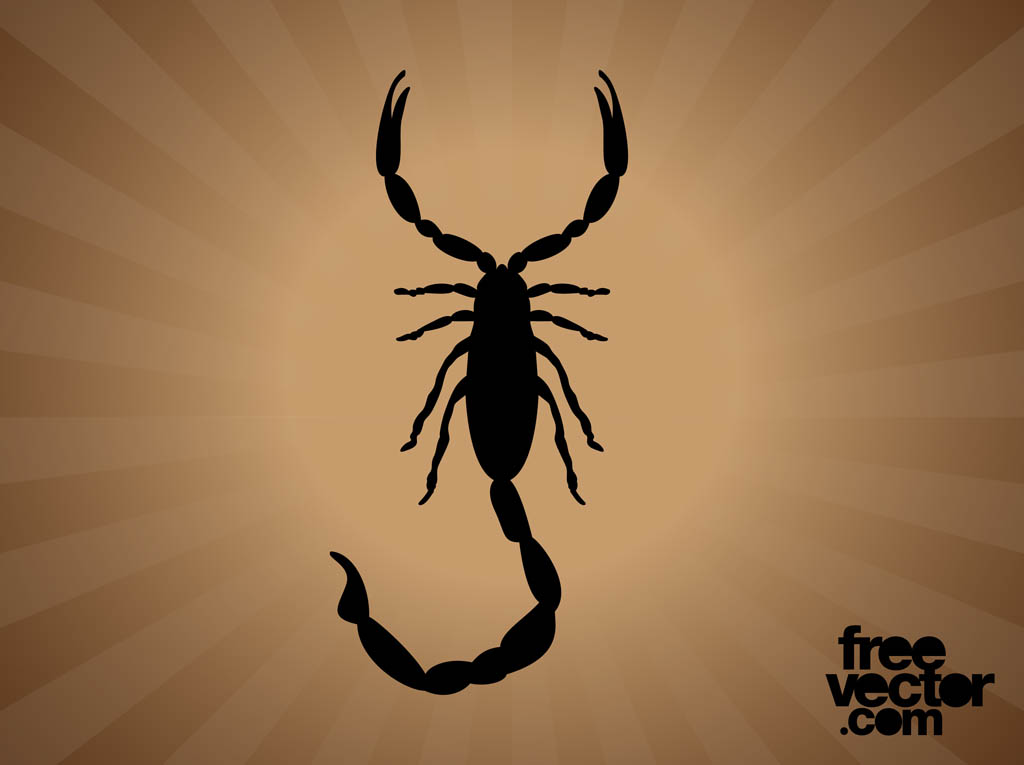 Scorpion Silhouette Graphics