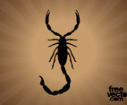 Scorpion Silhouette Graphics