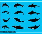 Dolphins Silhouettes Graphics
