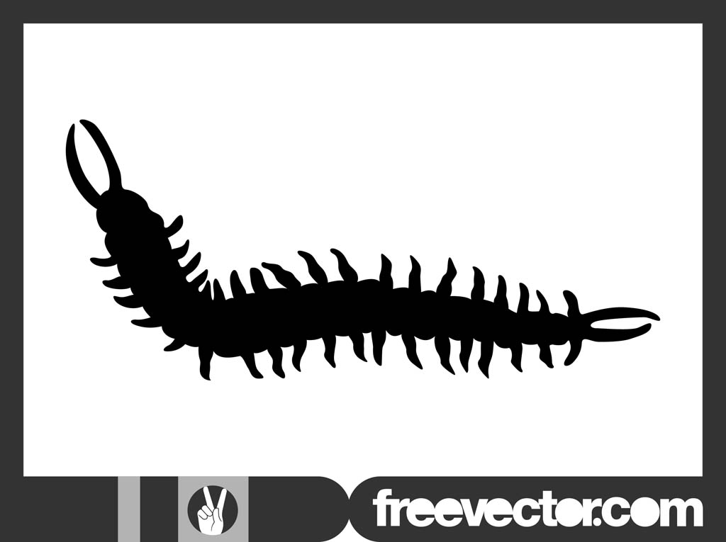 Centipede Silhouette