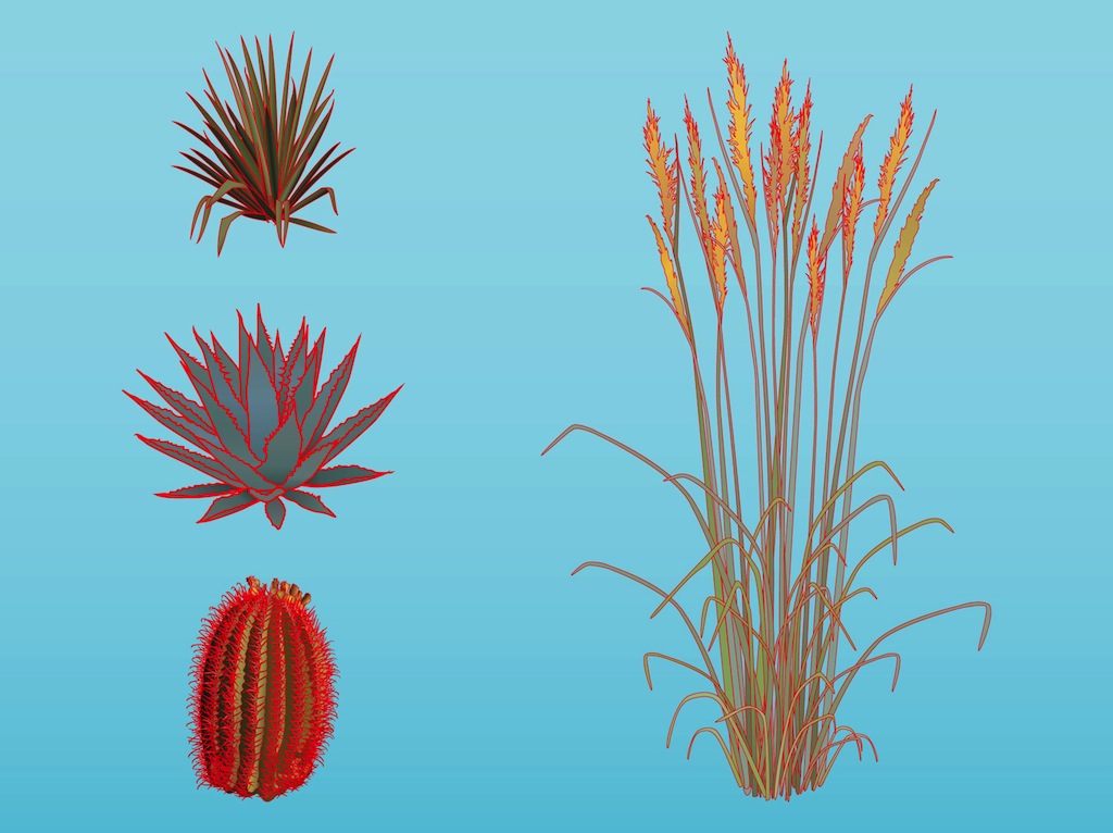 Plants