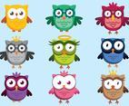Cute Owl Character Vectors