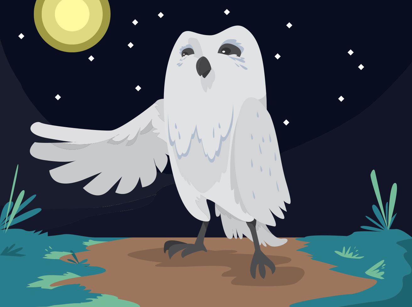 Cartoon Owl Vector Design