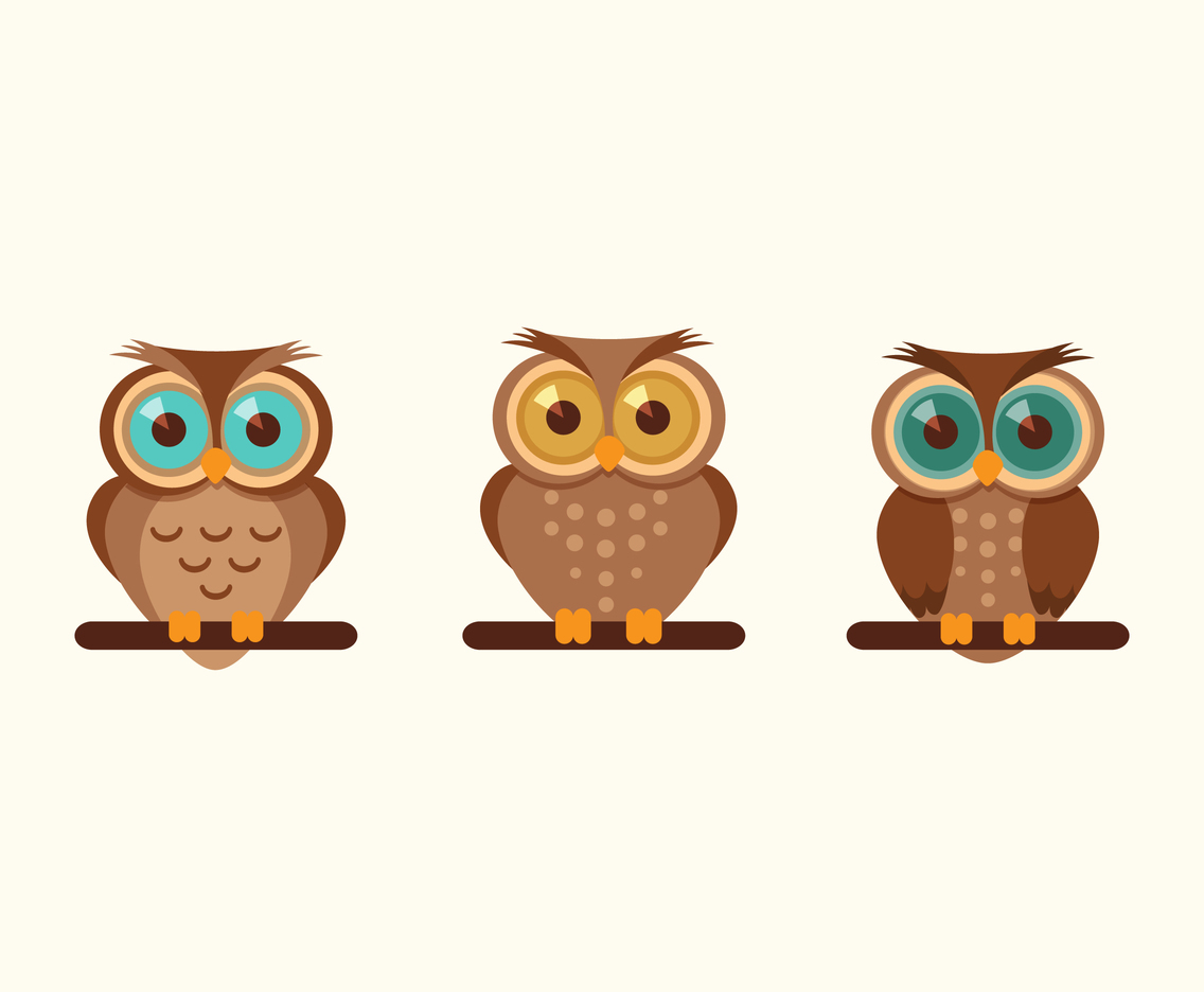 Free Vector Cartoon Owl set