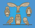 Cartoon Owl Vector