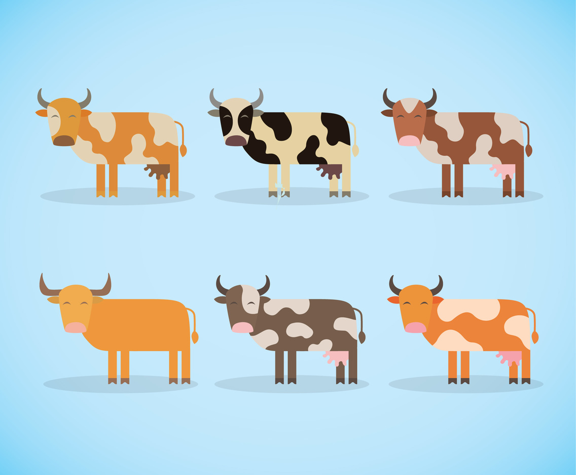 Cartoon Cow Vector