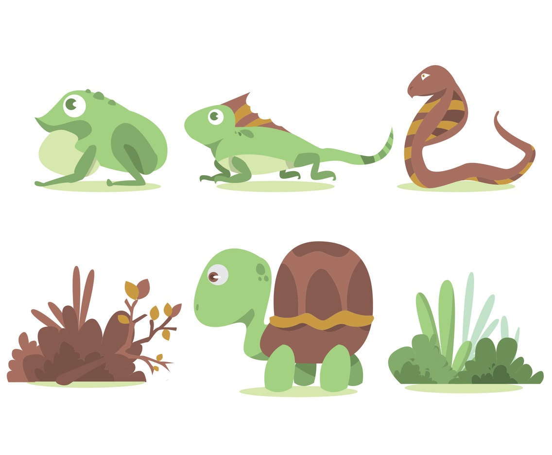 Cartoon Animal Vector Set