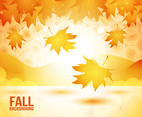 Fall Autumn Background Vector 
