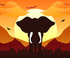 Elephant silhouette background sunset