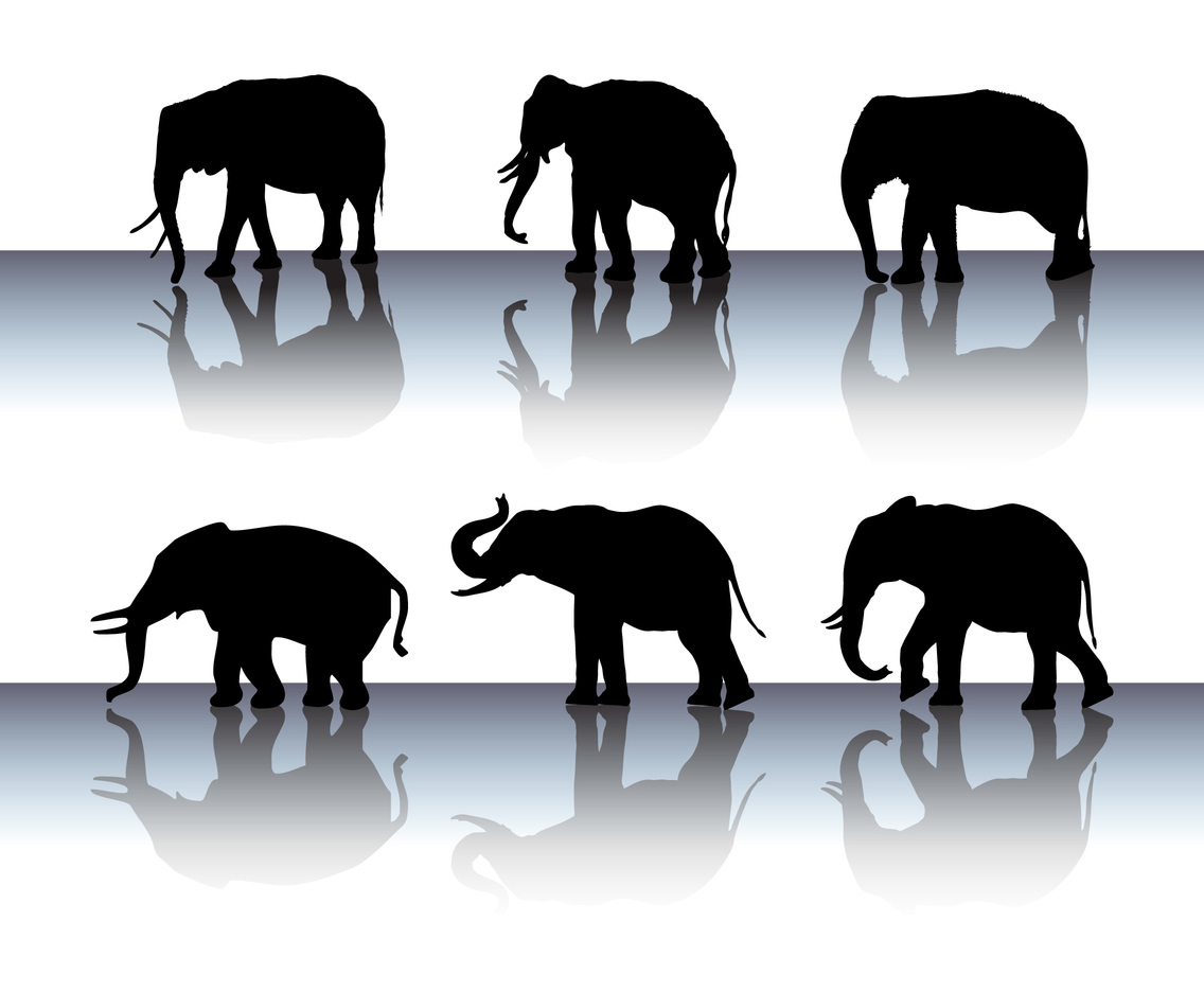 Elephant Silhouette Vector Set
