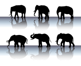 Free Elephant Silhouttes Vector Vector Art & Graphics | freevector.com