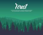 Free Forest in Early Morning Vector