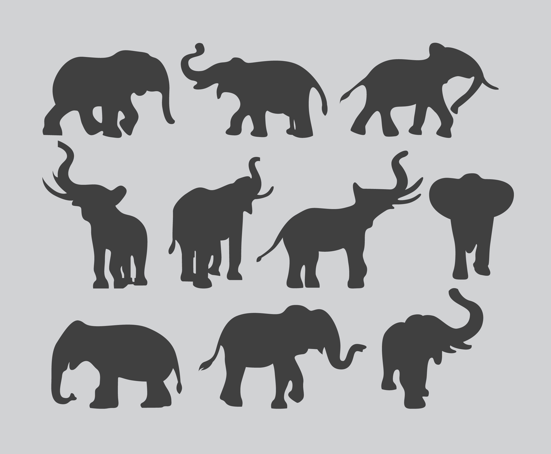 Elephant Silhouette Collection