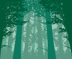 Forest Background