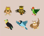 Birds Illustration Vector