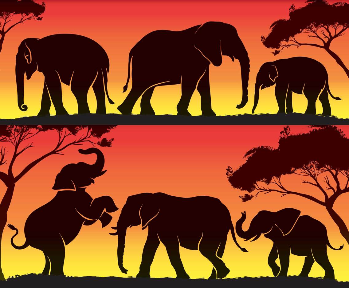 Elephant Silhouette at Sunset Vector