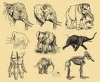  Elephant Drawings