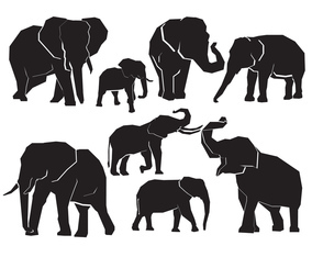 Free Elephant Silhouette Set Vector Art &amp; Graphics | freevector.com