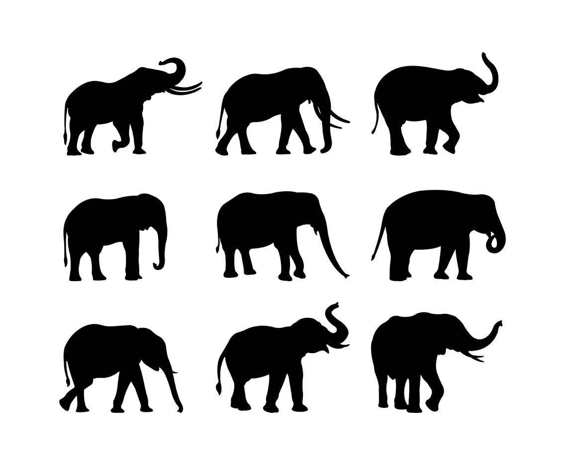 Set Of Elephant Silhouette