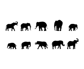 Free Elephant Silhouette Set Vector Art &amp; Graphics | freevector.com