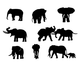 Free Elephant Silhouette Set Vector Art &amp; Graphics | freevector.com