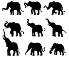 Free elephant silhouette Icons Vector