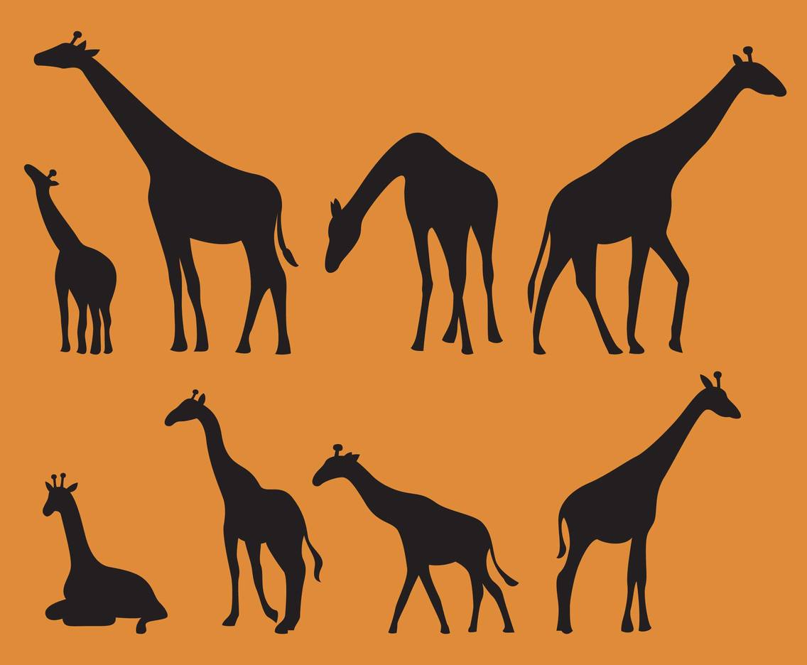 Giraffes Silhouettes