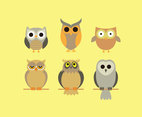 Cartoon Owls Collection Vector
