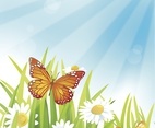 Butterfly Summer Vector Background