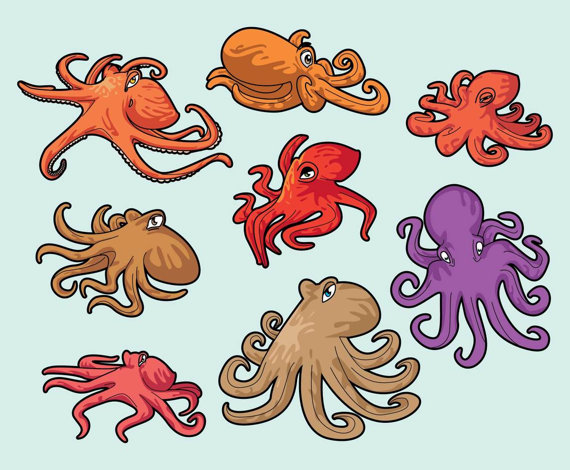 Free Carton Octopus Vector