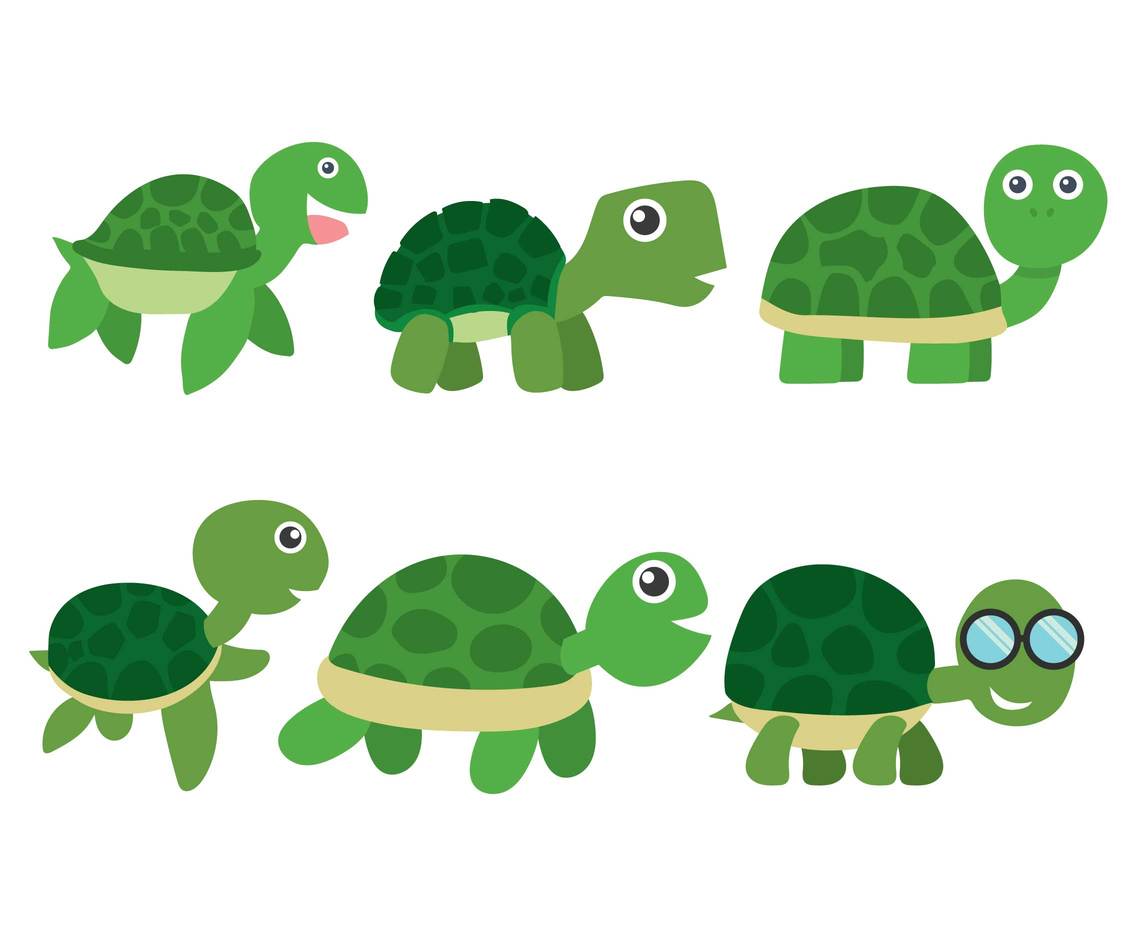 Download Cartoon Turtle Vector Vector Art & Graphics | freevector.com