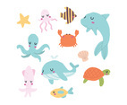 Cute Animals from Sea