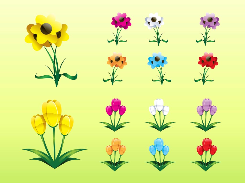 Colorful Flower Collection