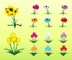 Colorful Flower Collection