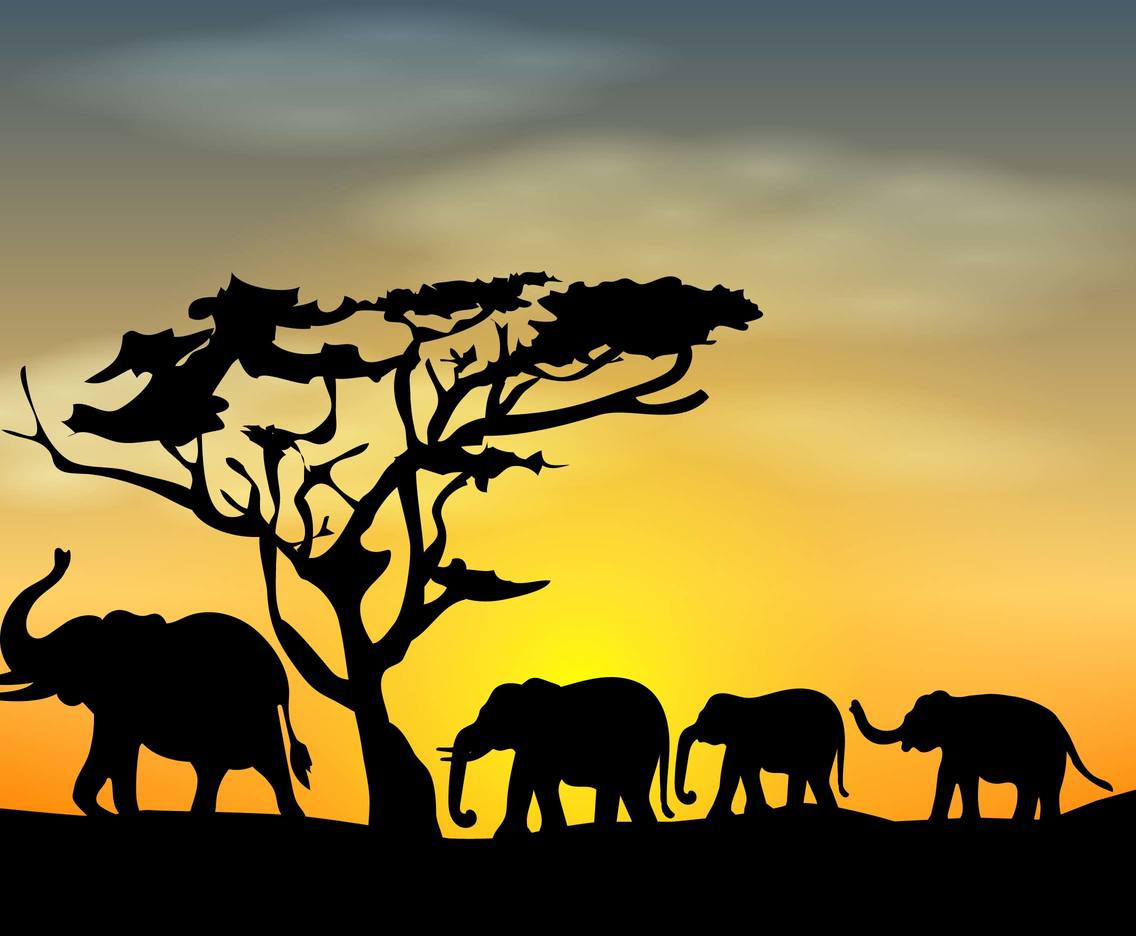 Elephant Silhouette Vector Art & Graphics | freevector.com