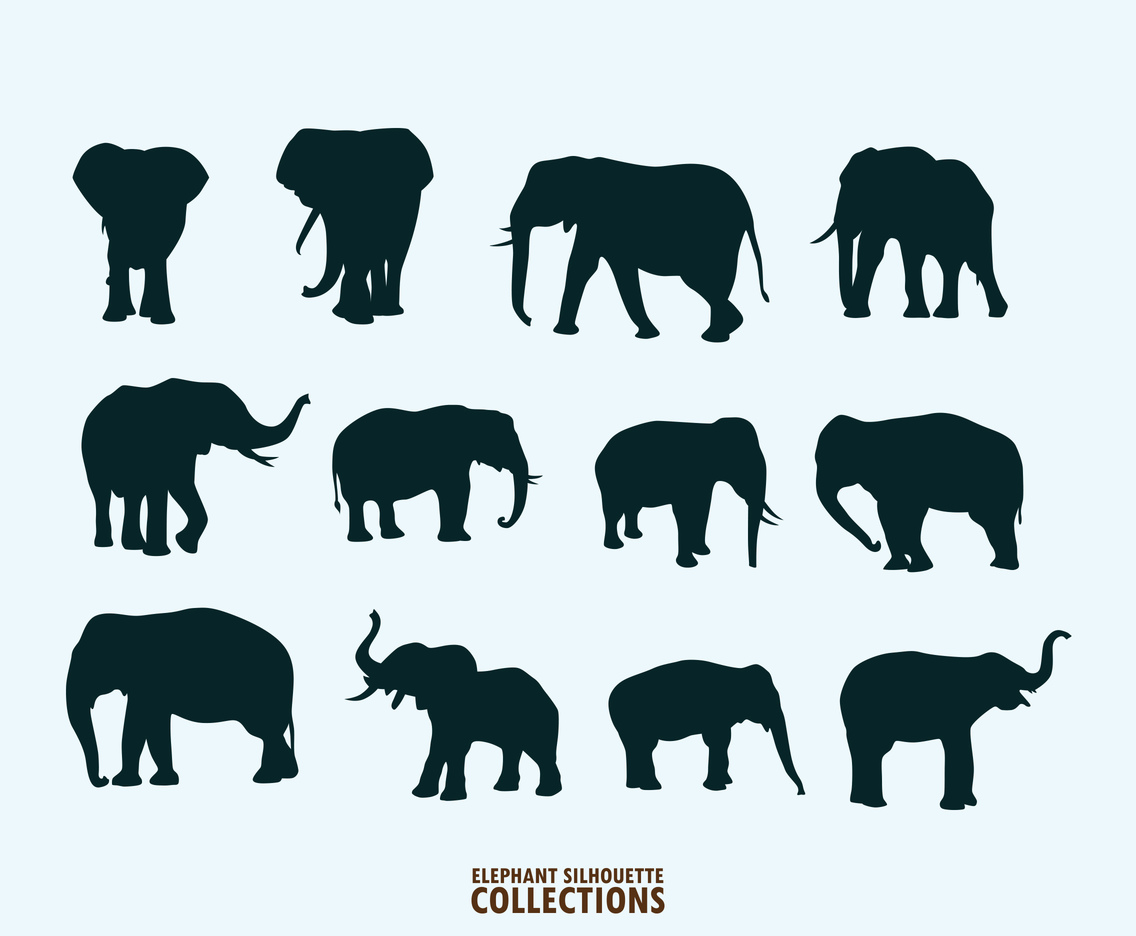Illustration Of Elephant Silhouettes