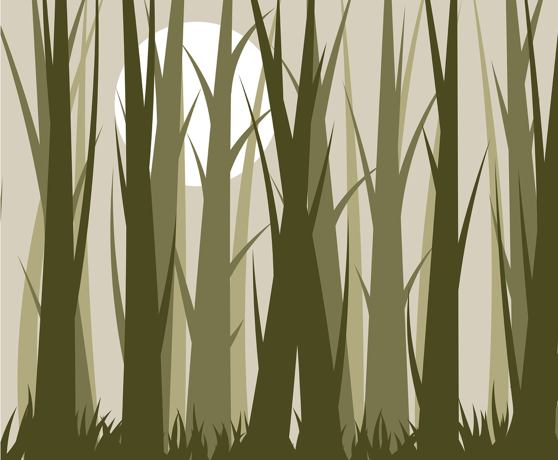 Forest Background Vector with Trees