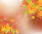 Thanksgiving Mapples Leaves Background