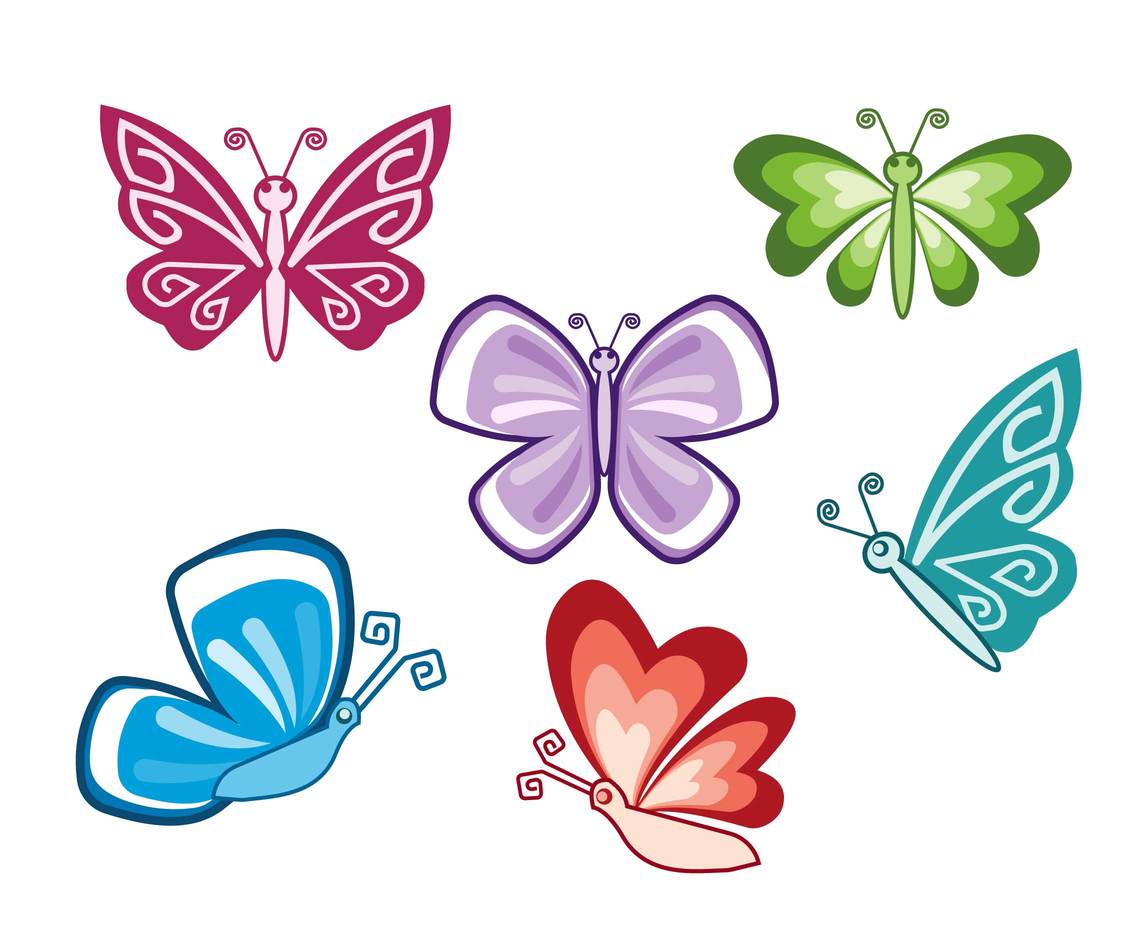 Butterfly Illustrations Vector