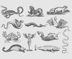 Ancient Illustrations Of Creatures