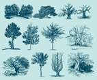 Blue Trees Illustrations
